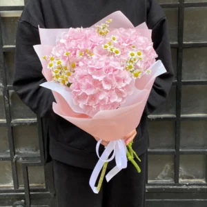 Гортензия 3