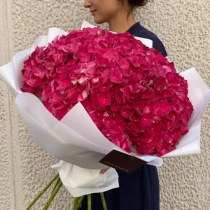 Гортензия 9