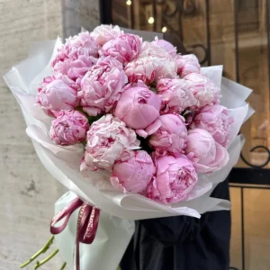 Sarah Bernhardt Peonies