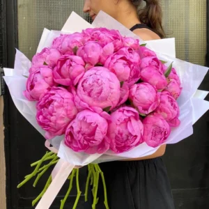 Pink Peony 25