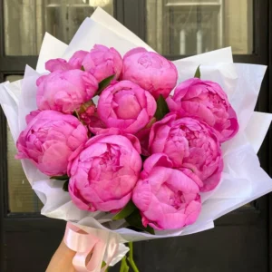 Pink Peony 9